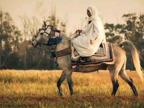 اغانية كامل القالمي تبرد على القلب