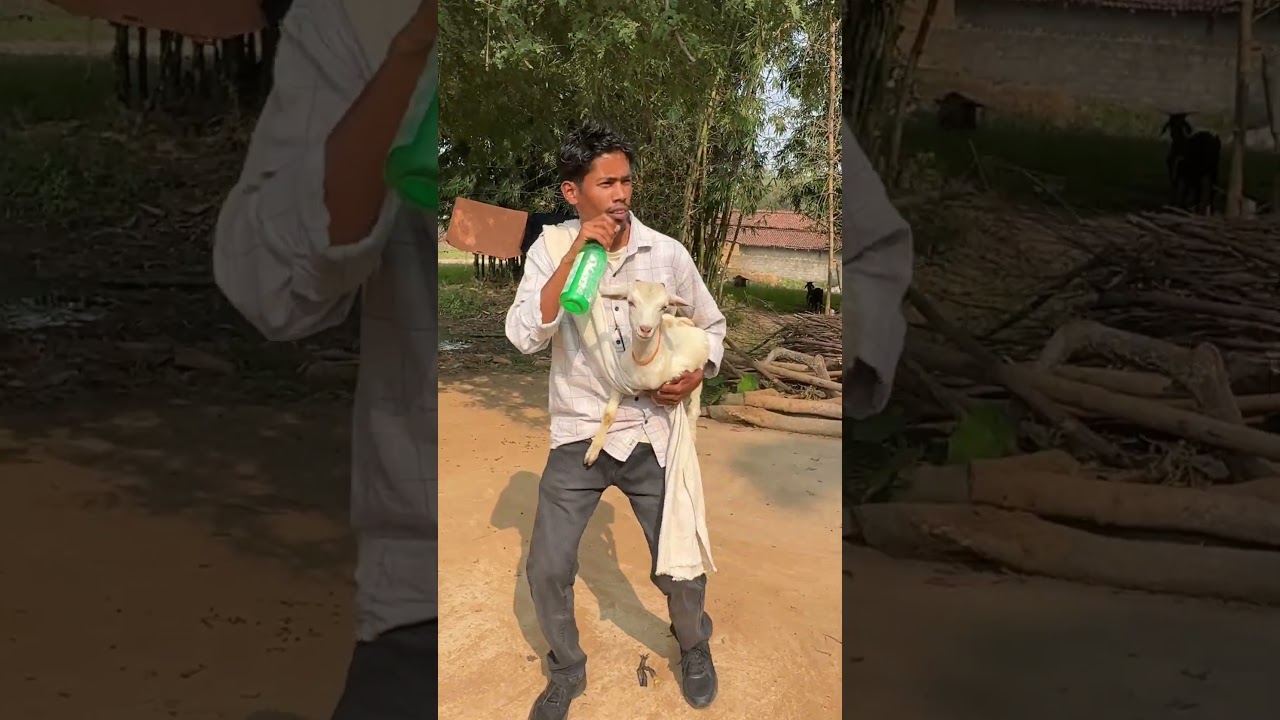 Nagpuri song dance//sadri dance 