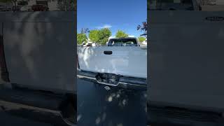 IMG 1204