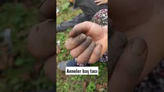 Anneler Kıymetlidir Cennet Anahtarıdır Şfet