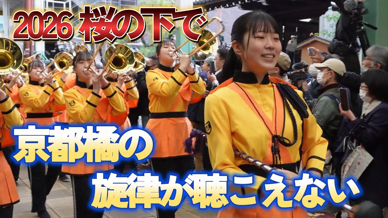 👉 😭 3年連続…さくらパレードで京都橘の姿が見えない春（2026）