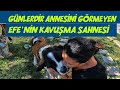 Günlerdir annesini görmeyen dev köpek EFE'nin kavuşma sahnesi