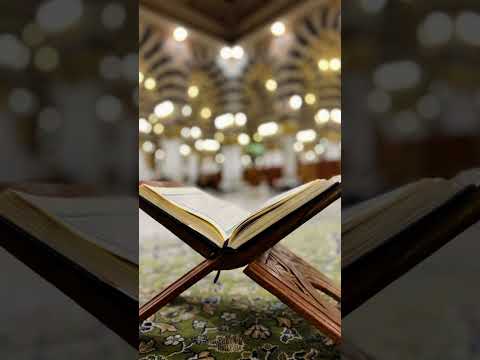 سورة البقرة القارئ أنس عبد الستار 