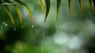 rain - Relaxing Sleep Music • Deep Sleeping Music, Relaxing Music, Stress Relief, Meditation Music