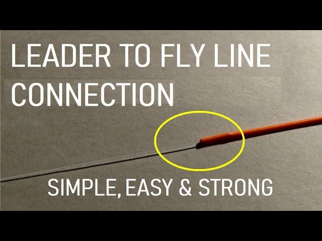 31. Trout Leader to a Fly Line  Easy Set up No Knots 
