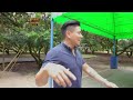 World’s famous fruit ng Thailand, matitikman sa Suphattra Land! | Biyahe ni Drew