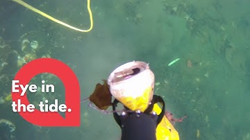 Schoolkids are using an underwater drone to clean up the seabed | SWNS
