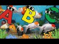 ABC Sea Animals for Kids! 🌊 A to Z Ocean Animals Phonics Song