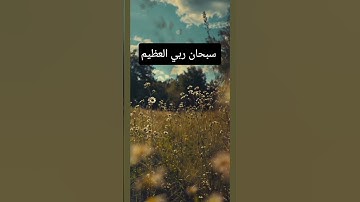 #القرآن_الكريم #المصحف #quran #راحة_نفسية #تلاوة_خاشعة #ترتيل_خاشع #تلاوة_هادئة #خشوع