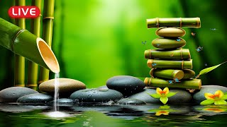 🔴 Relaxing Zen Music 24/7 - Bamboo, Relaxing Music, Meditation Music, Peaceful Music, Nature Sounds