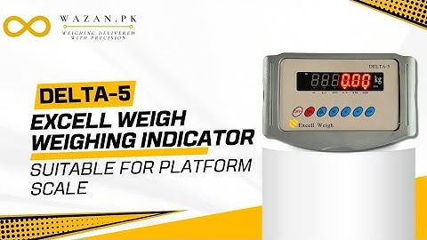 Delta-5 Excell Weigh Weighing Indicator 