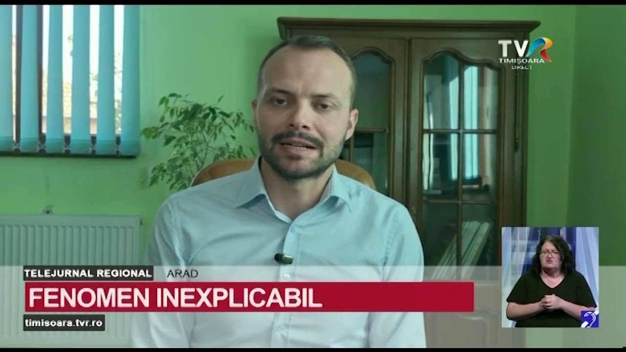Inexplicabil: În Parcul Natural Lunca Mureșului, copacii ard în interior #StiriRegionale