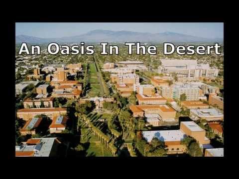 mis-program-highlights