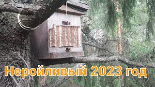 РОЕВ МАЛО!!! 2023 ГОД!!!