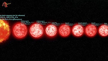 Exploring Red Dwarf Stars: aka M-type Stars