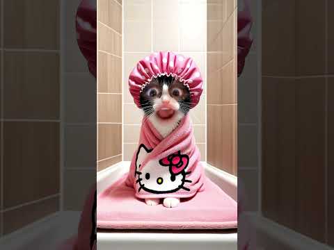 Cat in a Shower/ jackie kashian