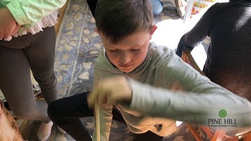 Chladni Plates Experiement