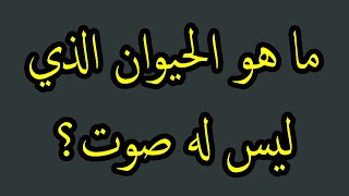 اسئلة واجوبة علمية عامة للمسابقات الثقافية اختبر معلوماتك | ما هو الحيوان الذي ليس له صوت