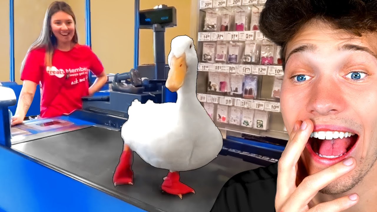Taking A Duck To Petsmart YouTube