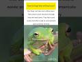 Meet the frog secret fact #frog #ukwildlife #usawildlife #wildlife #shorts