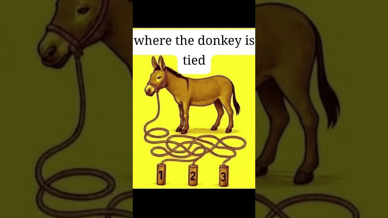  Can You Find Where The Donkey Is Tied BrainTeaser