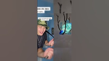 wrong answers only😭IB:@dez2fly