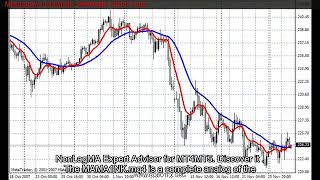 Metatrader 4 Indicators  MAMANK  MQL5 Code