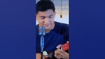 Aku Sayang Kamu. Iwan Fals. Sahrudin channel 14