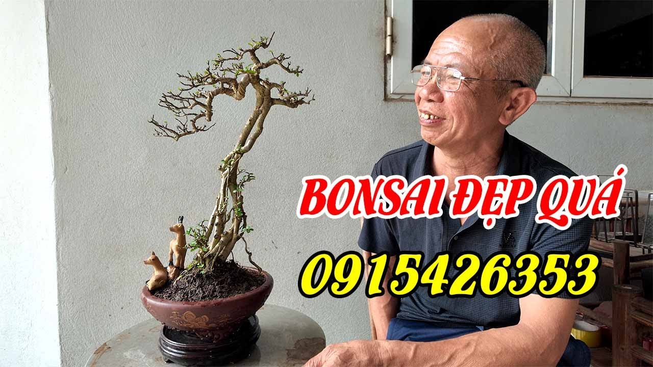 Sau hơn một năm gặp lại chú Huynh mà chú đã có rất nhiều cây đẹp, có những cây chú chưa muốn bán