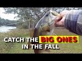 The ULTIMATE Texas Rig Trick For Fall Fishing!!!!!