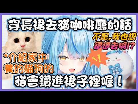 菈米介紹和自家寵物是如何相處的！【雪花ラミィ/ホロライブ】【Vtuber遜炮中翻】