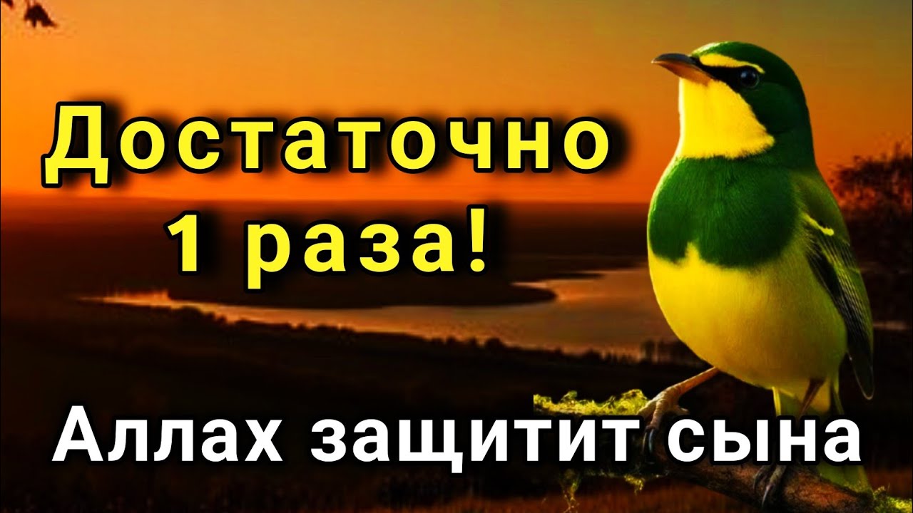 ЭТО САМАЯ СИЛЬНАЯ МОЛИТВА ЗА СЫНА!СПАСЁТ ОТ БЕДЫ ЗЛЫХ ЛЮДЕЙ ПОРЧИ СГЛАЗА СИЛЬНЫЙ ОБЕРЕГ!  🤲✨💯