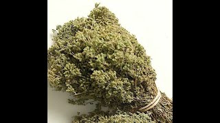E147 Healing Greek Herbs~Marjoram & Oregano