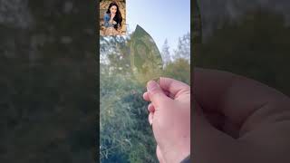#lasercncmachine #leaf carving #cnc