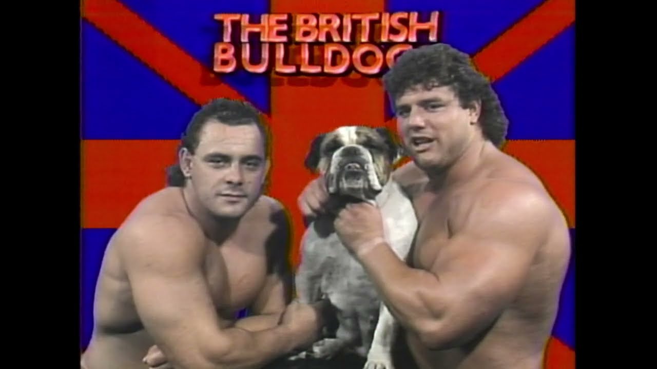 The Rougeau's The British Bulldogs promo on The Rougeau Brothers - YouTube