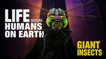 GIANT Insects Ruled Earth for Millions of Years. The Carboniferous Era.