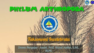 PHYLUM ARTHROPODA ( Kelas Arachnoida dan Insecta )