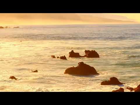 Only Because Of You Roger Hodgson 