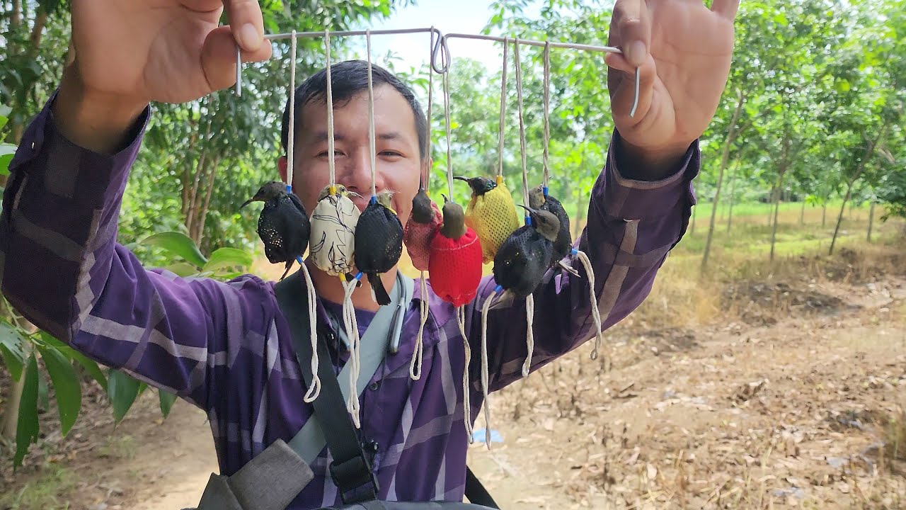 Hành Trình Bẫy Chim Tập 16 | Càn Quét Hết Vùng Đất ĐaKai
