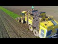 Atwater Farms Inc. - Sugar Beet Harvest 2018