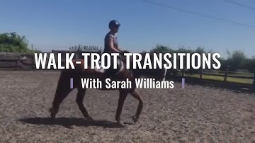 Walk-Trot Transitions Tutorial With Sarah Williams