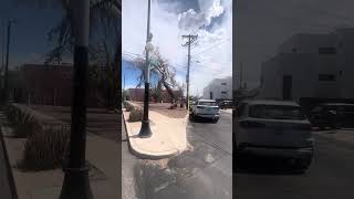 Pizzeria and beer garden in Tucson AZ