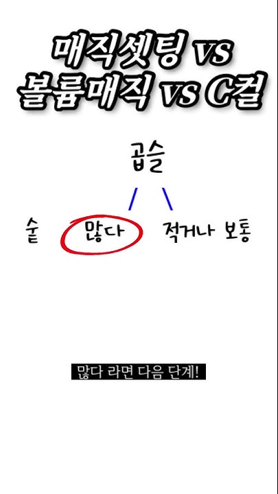 매직셋팅 볼륨매직 차이 알고 계신가요? 독특한 비밀 공개!