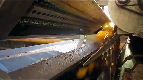 Raynbow sorting machine for peeled halved peaches - 3WAY | RAYTEC VISION SpA