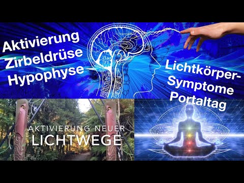 Licht-Akupunkturpunkte Maya-Tzolkin-Kalender ? LichtkörperSymptome✨ Weg-Aktivierung an Portaltagen