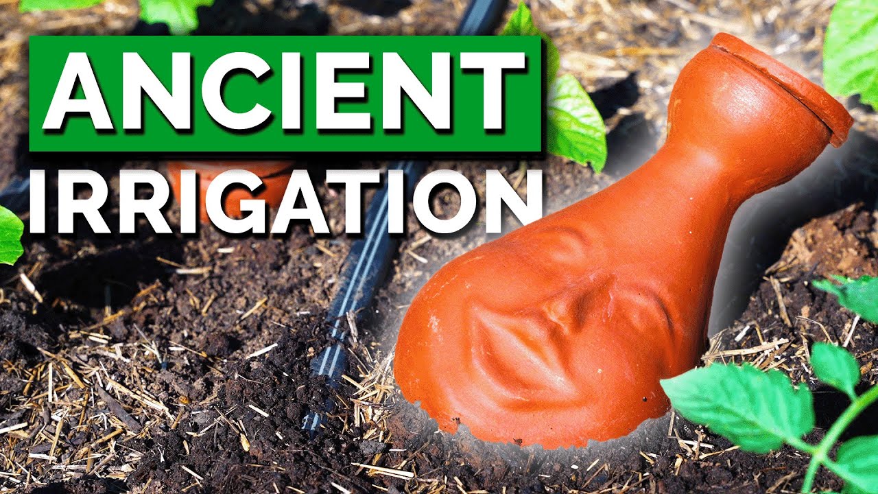 Ollas: Irrigate Your Garden With Ancient Tech - Epic Gardening