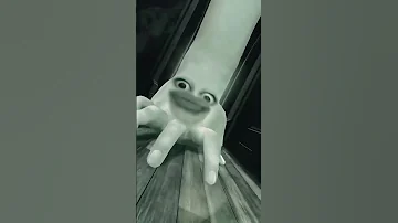 بيو بيو احمد محسن Shorts 