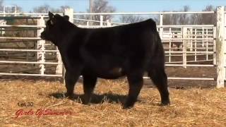 Lot 30