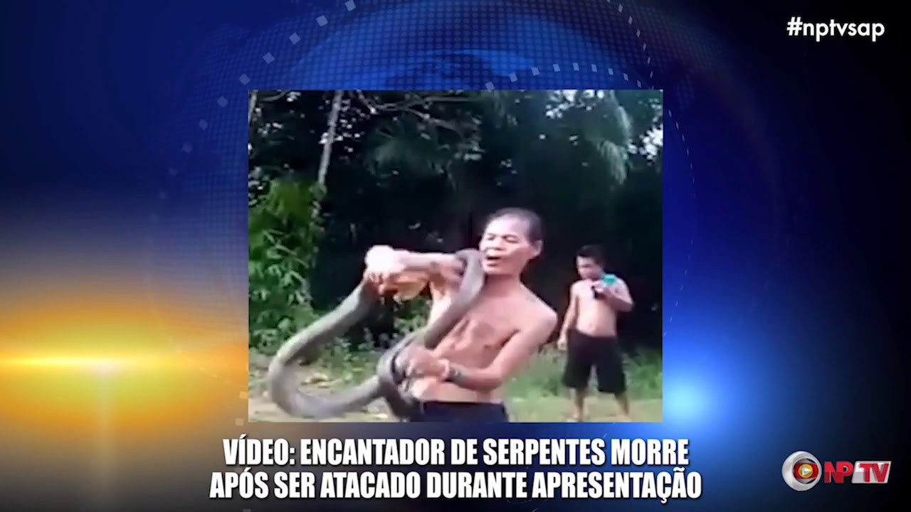 VÍDEO: Encantador de Serpentes Morre após ser Atacado durante Apresentação