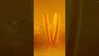 The TRUTH About Synthetic Vitamins